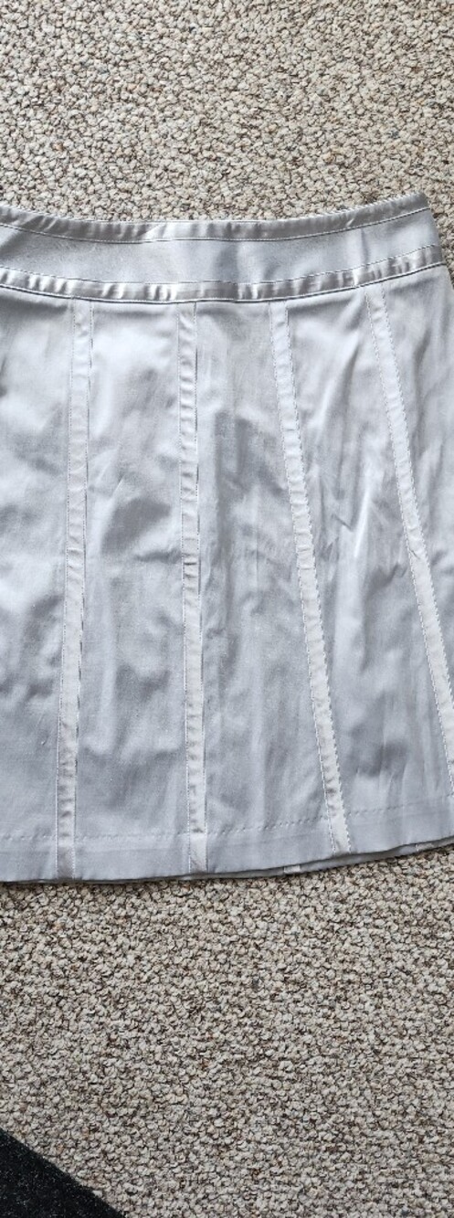 Women’s Silver Panel A-Line Skirt